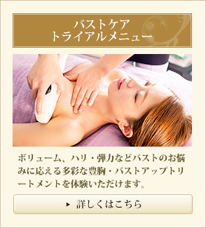 バストケアトライアルメニュー